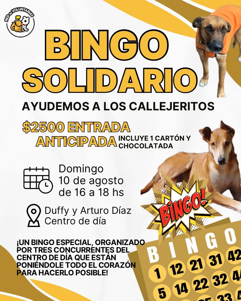 BINGO — foto 4